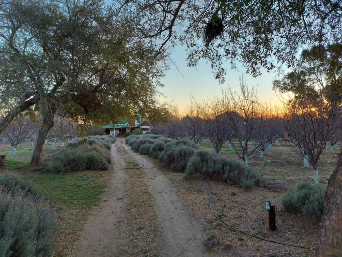 Finca La Julia Luyaba المظهر الخارجي الصورة
