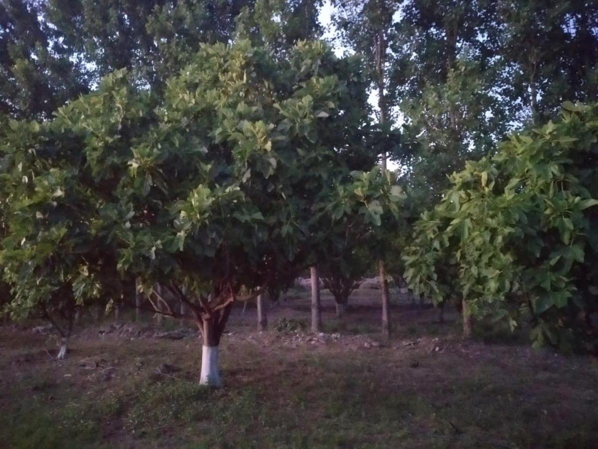 Finca La Julia Luyaba المظهر الخارجي الصورة
