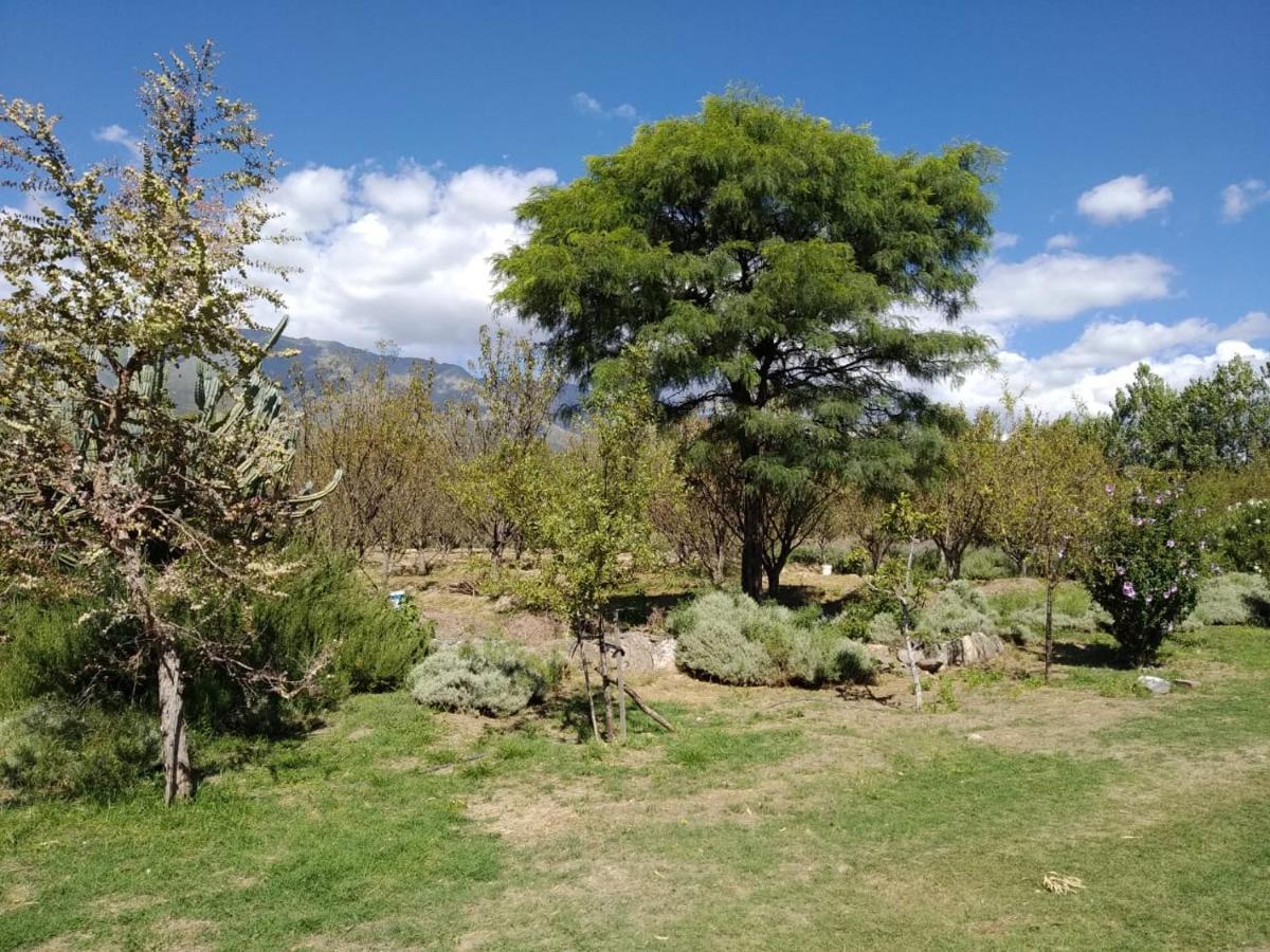Finca La Julia Luyaba المظهر الخارجي الصورة