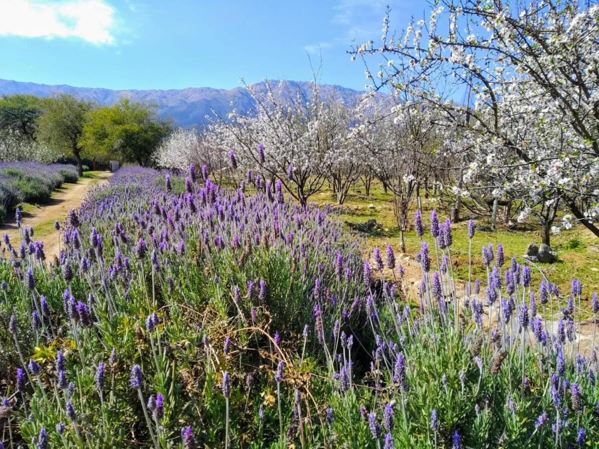 Finca La Julia Luyaba المظهر الخارجي الصورة
